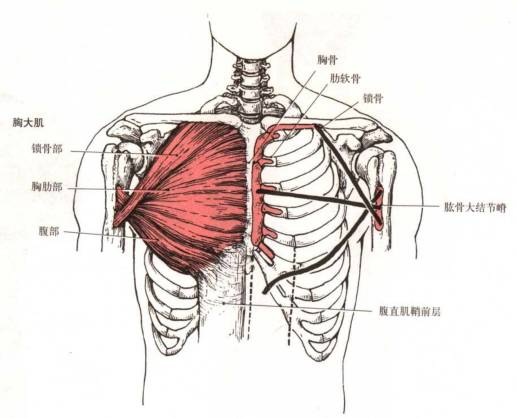 骨康3.png