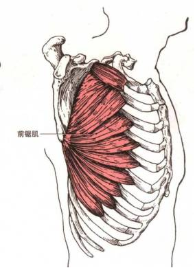 骨康22.png
