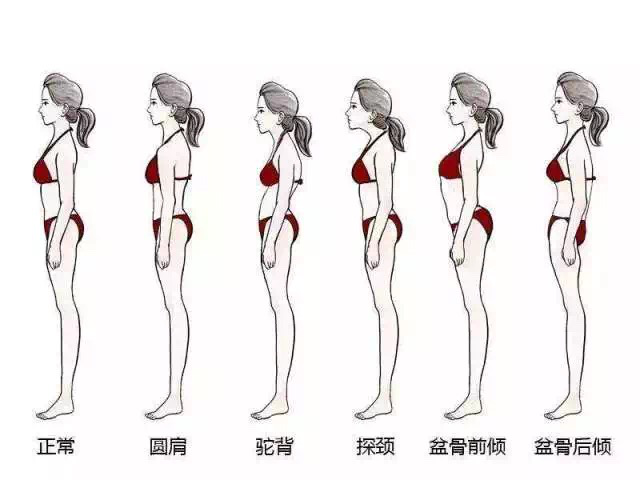 骨康1.png