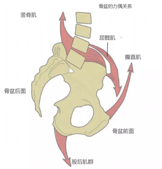 骨康2.png