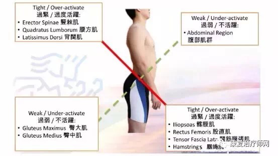 骨康3.png