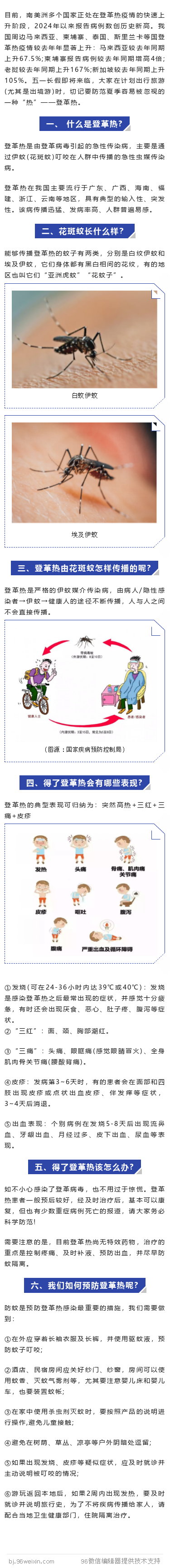 登革热.png