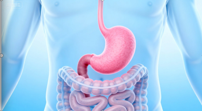 1765275584.png 1765275584.png